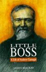 Little Boss Life of Andrew Carnegie