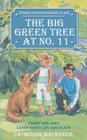 Big Green Tree at No 11