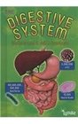 Your Digestive System Understand It with Numbers