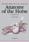 Anatomy of the Horse