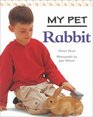 Rabbit (My Pet)