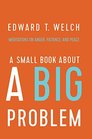 A Small Book about a Big Problem Meditations on Anger Patience and Peace