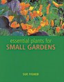 Essential Plants for Small Gardens