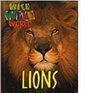 Wild Wild World  Lions