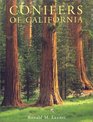 Conifers of California