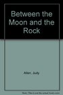 Between the moon and the rock
