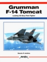 Grumman F14 Tomcat Leading Us Navy Fleet Fighter