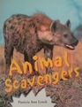 Animal Scavengers