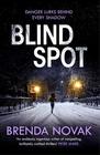 Blind Spot (Evelyn Talbot Chronicles, Bk 4)