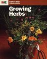 Growing Herbs (Step-by-Step Visual Guide)
