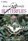 How to Identify Butterflies