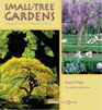 SmallTree Gardens Simple Projects Contemporary Designs