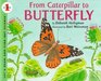 From Caterpillar to Butterfly (Let's-Read-and-Find-Out Science, Stage 1)