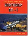 Northrop BT1 Navy Dive Bomber