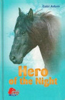 Hero of the Night (Diabolo, Bk 5)