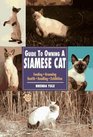 Guide to Owning a Siamese Cat