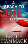A Beach To Die For: A Clean Private Detective Mystery (Smiley and McBlythe Mystery Series)