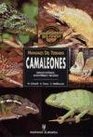 Camaleones especies / Chameleon species