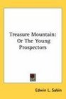 Treasure Mountain Or The Young Prospectors