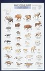 Mac's Field Guide to Land Mammals of North America (Laminated Card)