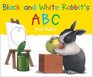 Black and White Rabbit\'s ABC