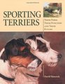 Sporting Terriers Their Form Their Function and Their Future