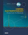 Cardiac Electrophysiology From Cell to Bedside
