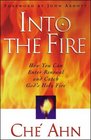 Into the Fire: How You Can Enter Renewal and Catch God's Holy Fire
