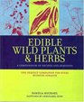 EDIBLE WILD PLANTS AND HERBS