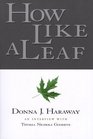 How Like a Leaf  An Interview with Donna Haraway