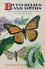 Butterflies and Moths A Guide to the Most Common American Species