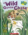 A WILD GOOSE CHASE