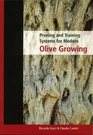 Pruning and Training Systems for Modern Olive Growing