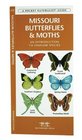 Missouri Butterflies  Moths An Introduction to Familiar Species
