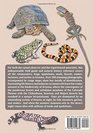 Arizona's Amphibians  Reptiles A Natural History and Field Guide