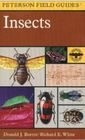 A Field Guide to the Insects of America North of Mexico