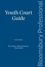 Youth Court Guide