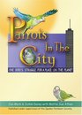 Parrots in the City One Bird's Struggle for a Place on the Planet