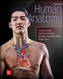 Human Anatomy