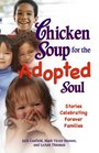 Chicken Soup for the Adopted Soul Stories Celebrating Forever Families