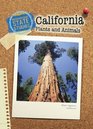 California Plants and Animals 2nd Edition