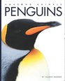 Amazing Animals Penguins