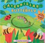Caterpillar to Butterfly A Colorful Adventure