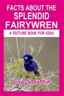 Facts About the Splendid Fairywren