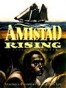 Amistad Rising A Story of Freedom