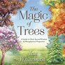 The Magic of Trees A Guide to Their Sacred Wisdom  Metaphysical Properties