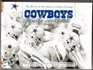 The Wives of the Dallas Cowboys Family Cookbook 2005 Edition