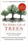 The Hidden Life of Trees: What They Feel, How They Communicate (Mysteries of Nature Series, Bk 1)