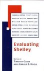Evaluating Shelley