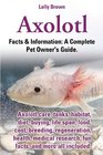 Axolotl Axolotl Care Tanks Habitat Diet Buying Life Span Food Cost Breeding Regeneration Health Medical Research Fun Facts and More All